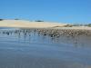3-25 Morro Bay 016.jpg, image 369 of 568